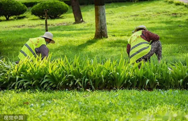 成都人居国贸林语上城实地探房-人居国贸林语上城质量、绿化、物业服务如何？