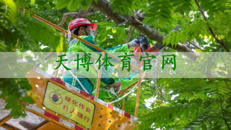 成都人居国贸林语上城实地探房-人居国贸林语上城质量、绿化、物业服务如何？
