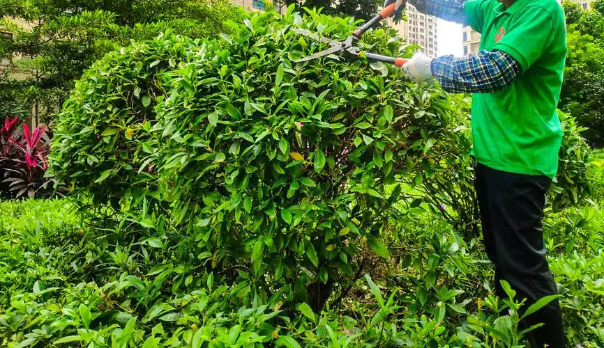 成都人居国贸林语上城实地探房-人居国贸林语上城质量、绿化、物业服务如何？