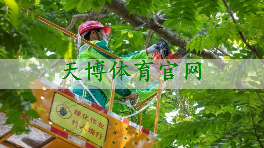 绿化工程是怎么搞工程的